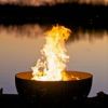 Funky Dog Fire Pit Art Gas AWEIS