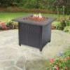 LP Gas 30 in. Fire Pit Endless Summer with Resin Table Surface