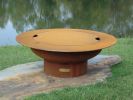 Wood Burning Fire Pit Bowl the "Magnum" by Fire Pit Art