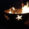 Sea Creatures Fire Pit Art with Choice of Fuel, Color and Ignition