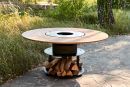 Grill Picnic Table Wood Burning Fire Pit Built in Ukraine Dr. Fire (Table Sizes: 59 inch Diagonal x 31 inch High)