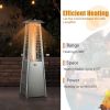 9500 BTU Portable Stainless Steel Tabletop Patio Heater with Glass Tube